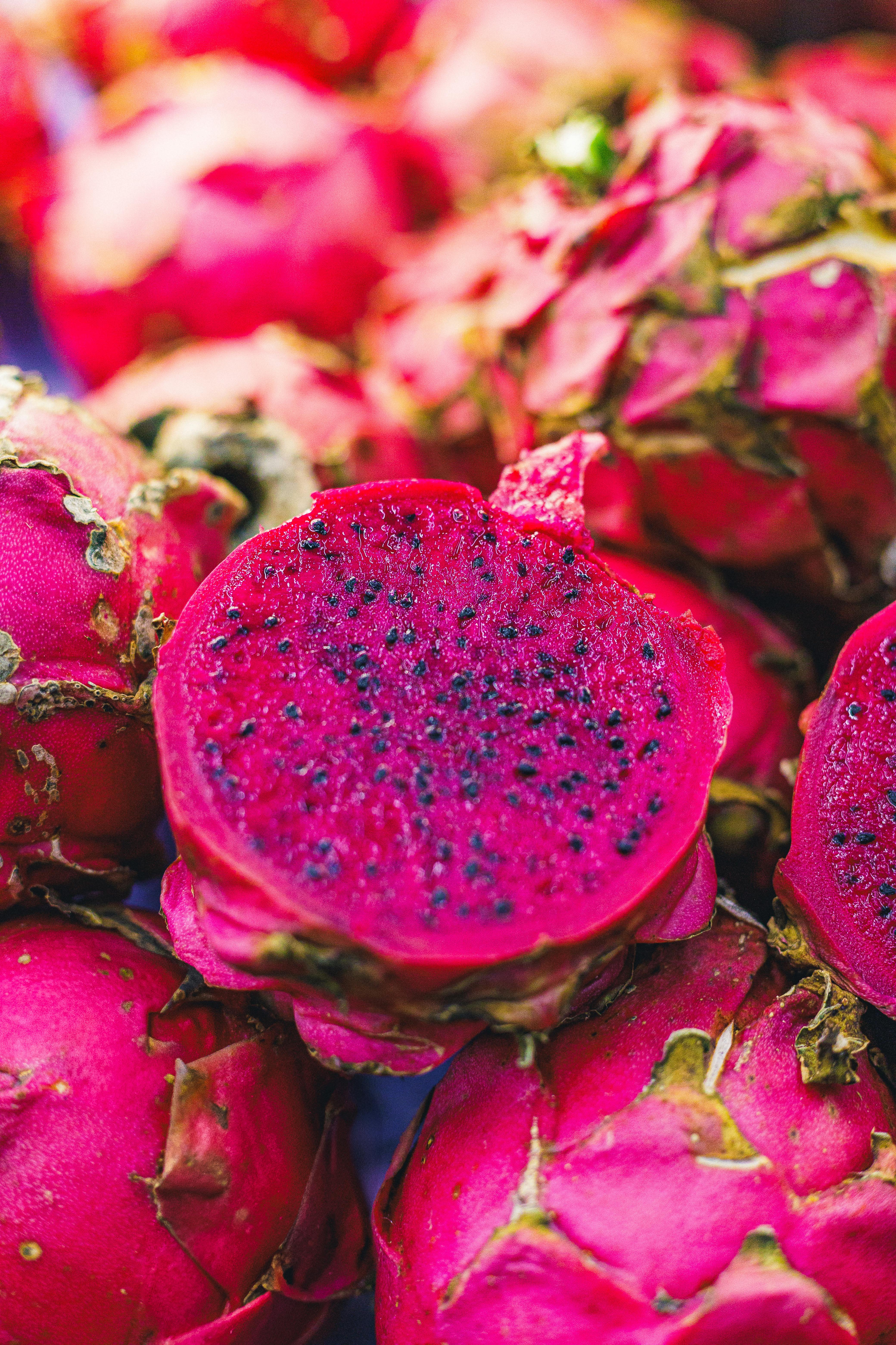 Lush green rice paddy field